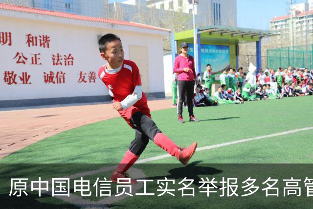 原中国电信员工实名举报多名高管 涉违规套取3800万元财政资金