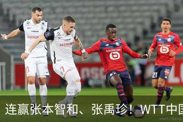 连赢张本智和、张禹珍！WTT中国大满贯：国乒男单独苗进4强约战松岛
